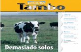 Tambo Nº 67 - Octubre 2012