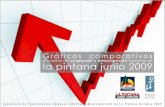 GRAFICOS COMPARATIVOS ENCUESTA DE OCUPACIÓN Y DESOCUPACIÓN COMUNA DE LA PINTANA JUNIO 2009