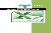 Album Excel Intermedio