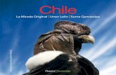 Chile, la mirada original