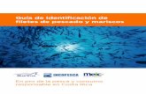 Guía de identificación de filetes de pescado y mariscos