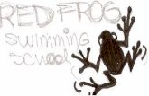 red frog pruebas