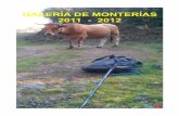 Galería Monterías Orgánicas 2011-2012