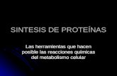 Sintesis de proteínas
