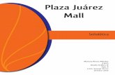 Proyecto: Señalética Plaza Juárez