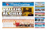 Semanario La Voz de La Calle - Nº 129 - web