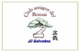 Club Bonsai El Salvador