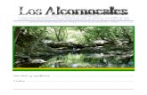 El Parque Natural de los Alcornocales: el libro de 3º B - Abril 2011