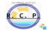R.C.P. 2010 - Protocolo Nuevo