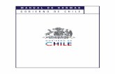 Chilean government brand guideline