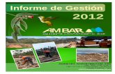 Informe de gestion AMBAR 2012