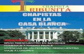 Tribunita Chapista -  Segunda Edición