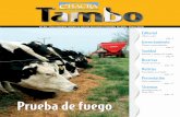Tambo Nº 34 - Enero 2010