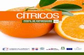 Perfil de Exportación de Cítricos desde República Dominicana