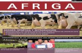 AFRIGA 102 Producción de leche