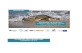 Técnicas y Avances en la conservación de Tortugas