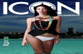 Revista ICON