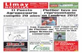 Limay Noticias Nº33
