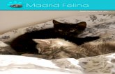 Boletin Informativo nº 4 de la Asociacion Madrid Felina