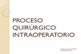 proceso quirugico