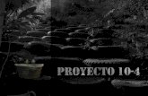 Brief Proyecto 10-4/Gravedades Jun 2012