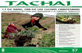 Revista Tachai Nº 37