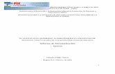 Informe final sistematización noveles ANEXOS