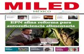 Miled México 06/01/14