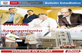 Boletín Estadístico Perú - Ene 2011
