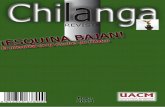 Revista Chilanga