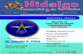 Hidalgo Comercial y de Servicios