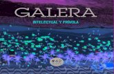 Galera #42