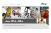 Seminario MSA-IETSA Linea Affinity