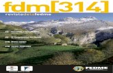Revista FDM 314