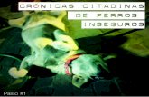 Pasto#1: Crónicas citadinas de perros inseguros.
