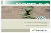 Gapp News Octubre 2008