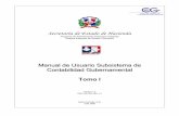 Manual de Usuario Subsistema de Contabilidad Gubernamental tomo 1