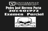 Examen parcial Pedro Jose Herrera Porta