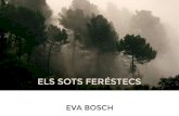 Eva Bosch "Els sots feréstecs"