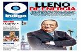 Reporte Indigo: LLENO DE ENERGÍA 15 Julio 2014