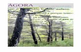 Revista ágora digital n 4 monográfico antonio machado primavera 2014 ágora papeles de arte gramático