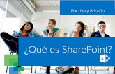 ¿Qué es SharePoint? ¿Es importante para mi negocio?