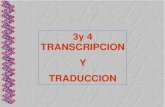 Unidad 3 y 4 Transcripcion y Traduccion Genetica
