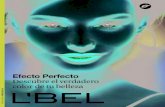 Catálogo L'bel Venezuela C11