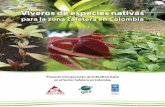 Viveros de especies nativas para la zona cafetera en Colombia