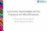 FERNANDO FERNANDEZ "LECCIONES APRENDIDAS DE LOS FRACASOS EN MICROFINANZAS"