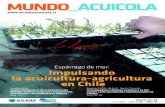 Edición en Curso Nro 98 Mundo Acuícola