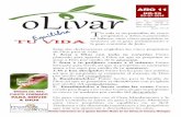 Olivar 2014-29
