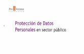 Protección de datos personales en el sector público 2011