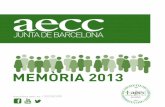 AECC - Memoria 2013